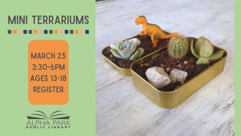 photo of gold tin with rocks, dirt, succulents, and dinosaur. grey text with light green and orange backgrounds