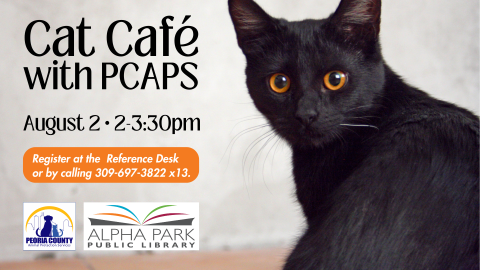 photo of black cat with orange eyes, black text with logos