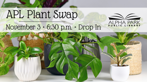 photo of green houseplants with light purple background, black text